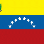 ve-lgflag